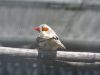 26IMG_4060.jpg
