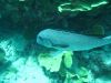 IMG_1758.JPG