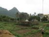 036IMG_7356.jpg